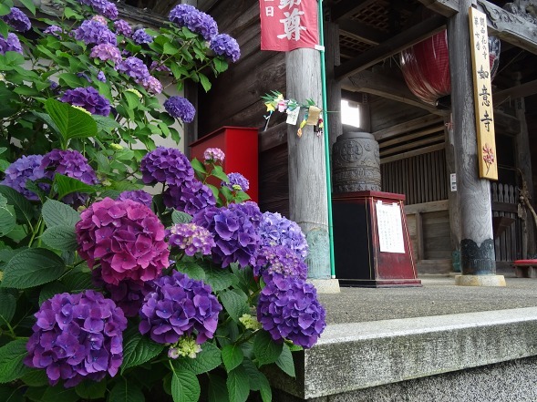 b0299042_15434129.jpg