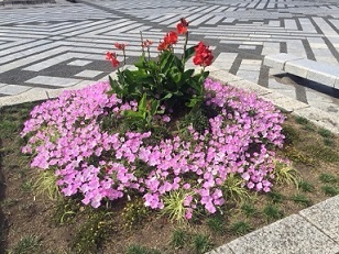 a0251743_15265313.jpeg