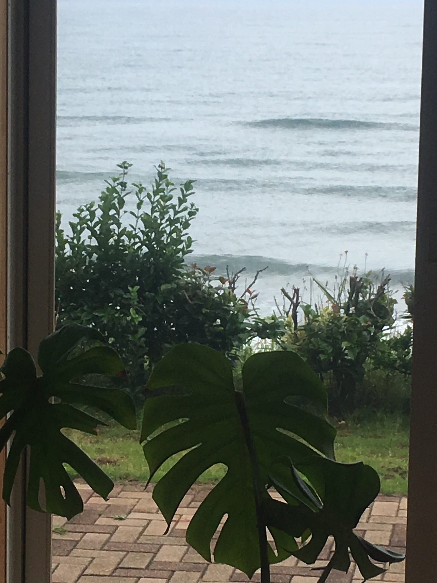c0254151_12345570.jpeg