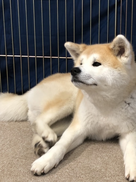 b0214652_15190615.jpeg