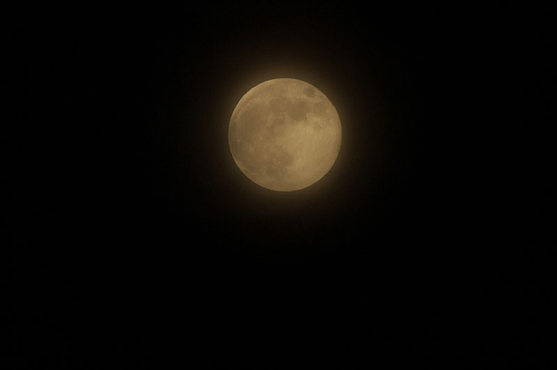 d0342652_10573368.jpg