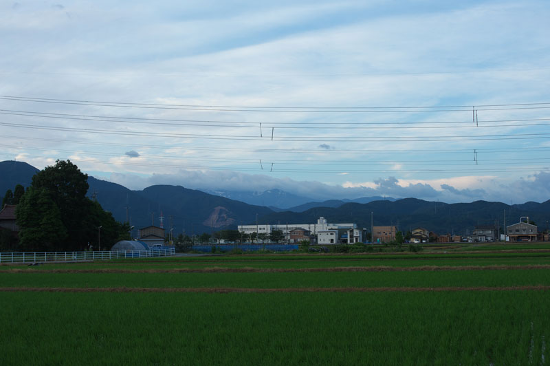 d0342652_1103612.jpg
