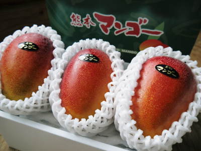 樹上完熟アップルマンゴー 平成30年の予約受付スタート!最高級の「煌」&お求めやすいファミリータイプ_a0254656_15421553.jpg