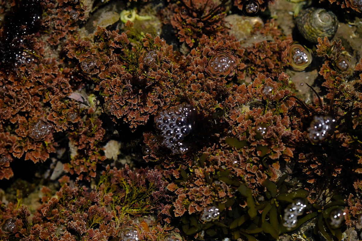 c0084666_21310656.jpg