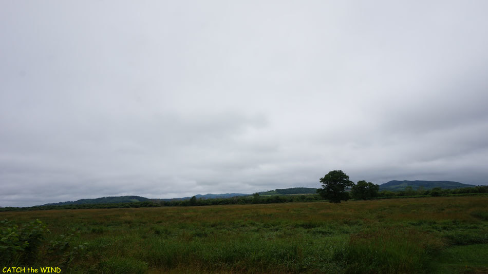 c0190971_20222633.jpg