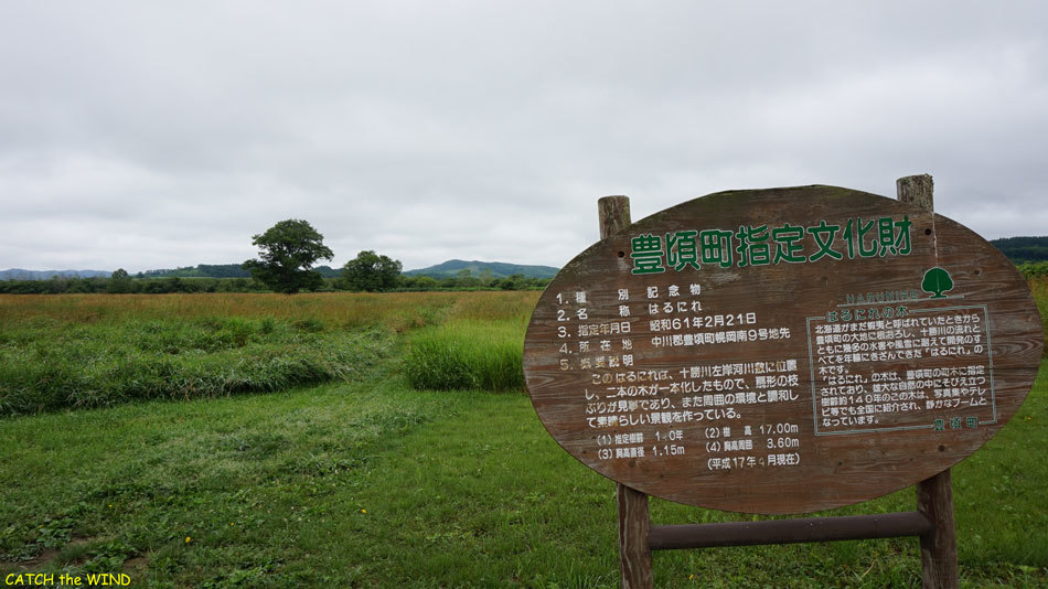 c0190971_20242565.jpg