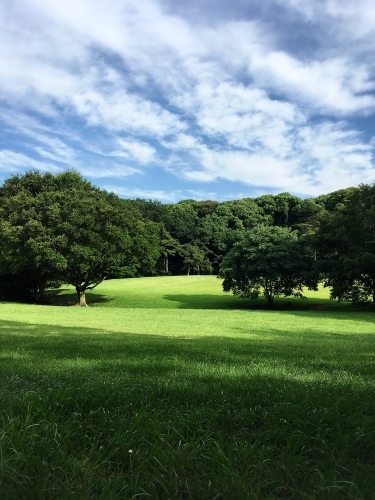 d0348182_10583172.jpeg