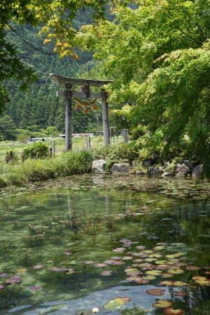 a0198883_22362429.jpg
