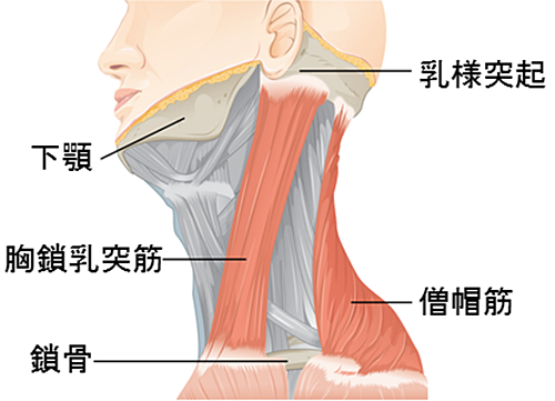 a0194886_06172061.png