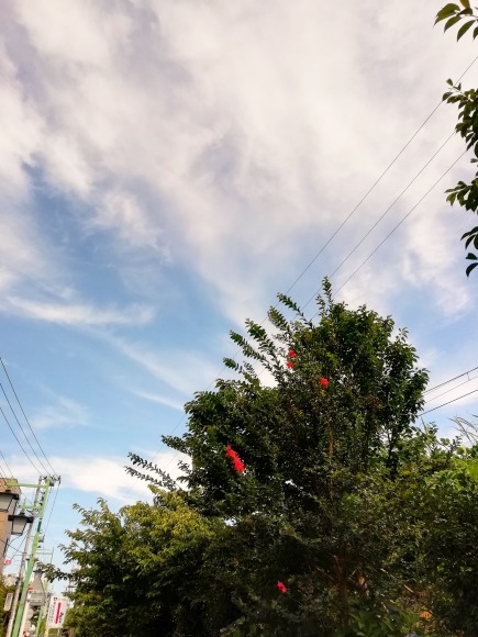 c0010791_11485822.jpeg