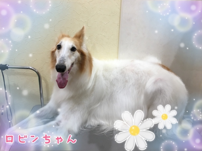 d0269898_11281401.jpeg