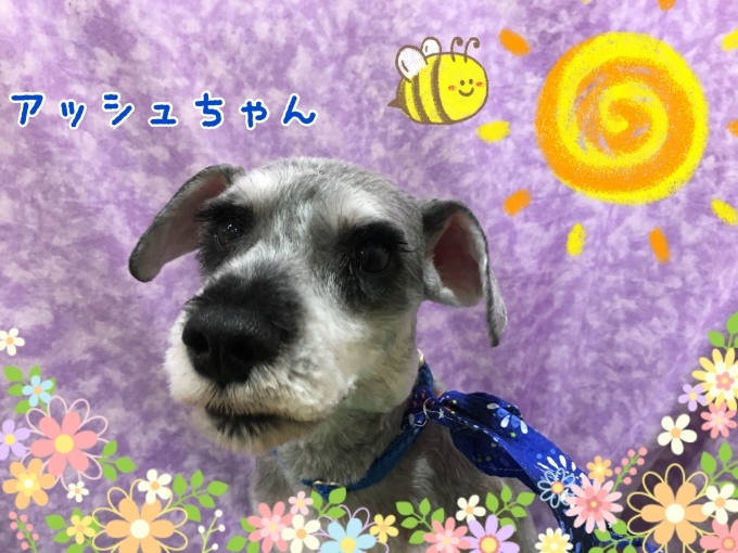 d0269898_11295353.jpeg
