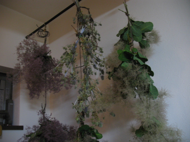 スモークツリーの水揚げとドライについて Art Work Fluorite スモークツリーの水揚げとドライについて Art Work Fluorite