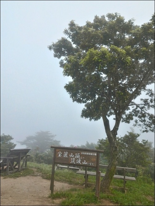b0086909_08065362.jpg