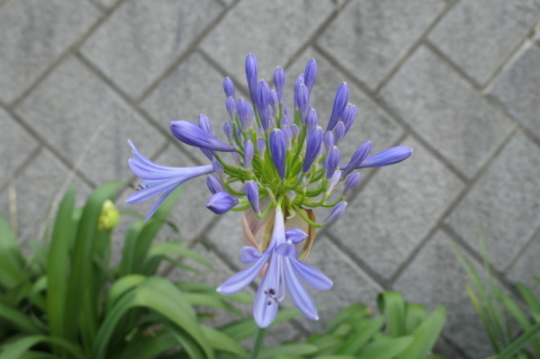 f0369014_15005313.jpg