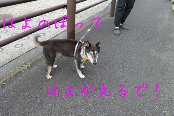 f0369014_15035166.jpg