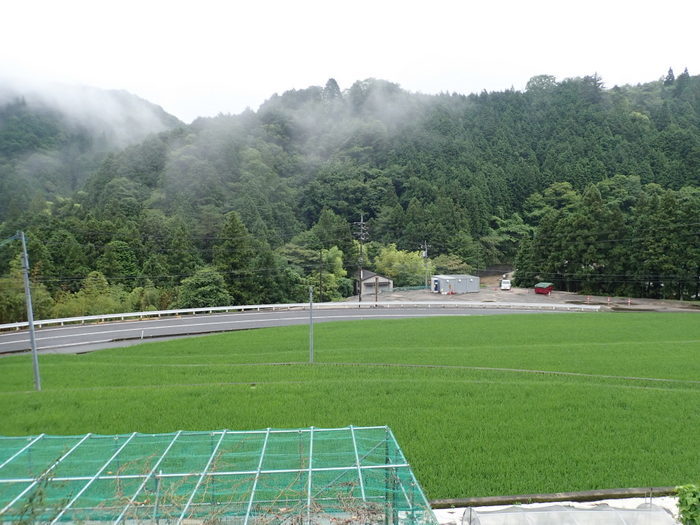 一日中、雨_c0116915_22142938.jpg