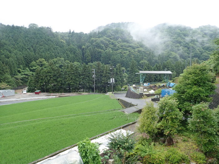 一日中、雨_c0116915_22150703.jpg