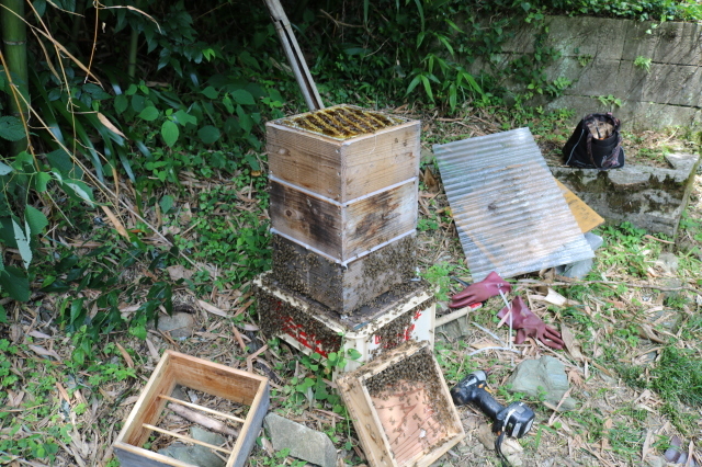 f0176521_12581668.jpg