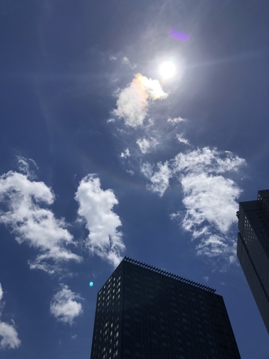 鎌倉散策と夏越の祓え_a0169924_21363734.jpeg