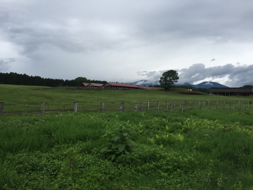 c0157625_22575649.jpeg