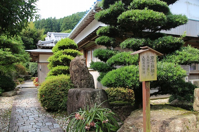 熊野古道 大門坂散策(その1)(撮影:6月22日)_e0321325_10441621.jpg