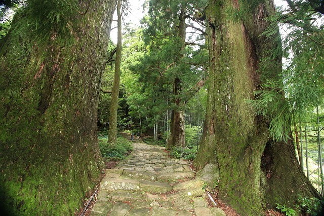 熊野古道 大門坂散策(その1)(撮影:6月22日)_e0321325_10583374.jpg