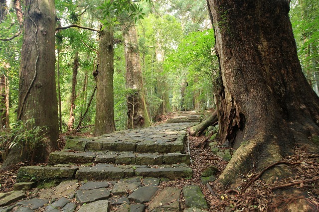 熊野古道 大門坂散策(その2)(撮影:6月22日)_e0321325_14581754.jpg