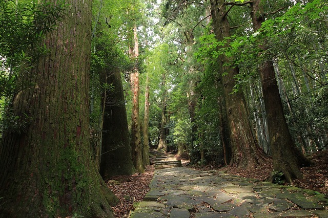 熊野古道 大門坂散策(その2)(撮影:6月22日)_e0321325_15044775.jpg