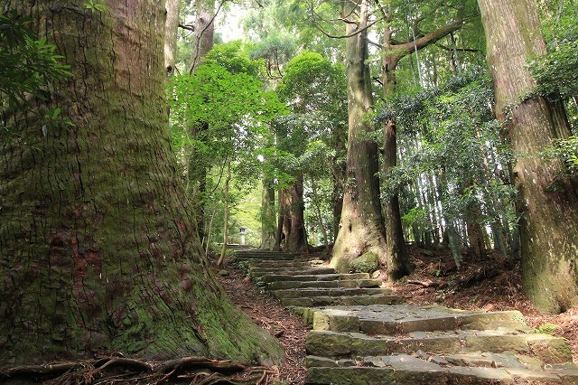 熊野古道 大門坂散策(その2)(撮影:6月22日)_e0321325_15060200.jpg