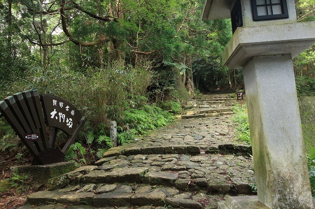 熊野古道 大門坂散策(その2)(撮影:6月22日)_e0321325_15082251.jpg