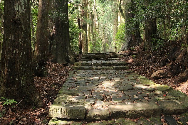 熊野古道 大門坂散策(その2)(撮影:6月22日)_e0321325_15092455.jpg