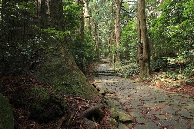 熊野古道 大門坂散策(その2)(撮影:6月22日)_e0321325_15150103.jpg