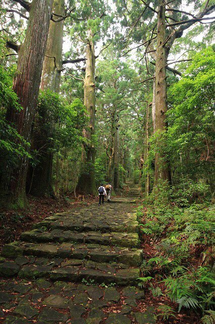 熊野古道 大門坂散策(その2)(撮影:6月22日)_e0321325_15151997.jpg