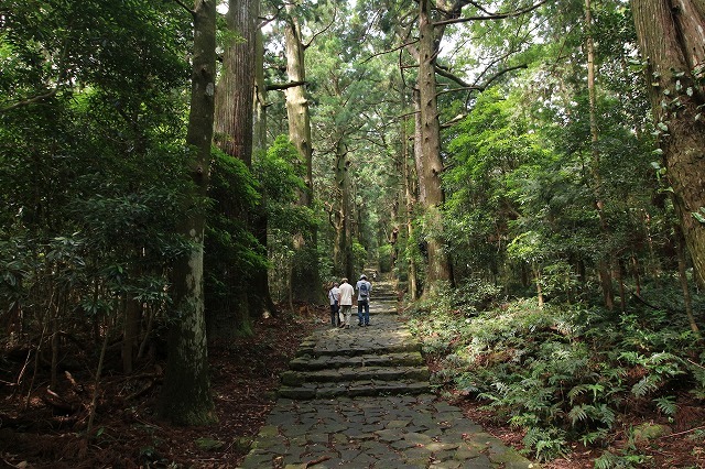 熊野古道 大門坂散策(その2)(撮影:6月22日)_e0321325_15153462.jpg