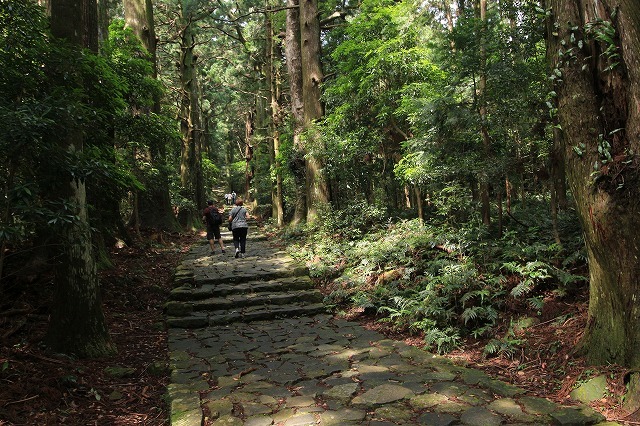 熊野古道 大門坂散策(その2)(撮影:6月22日)_e0321325_15155020.jpg