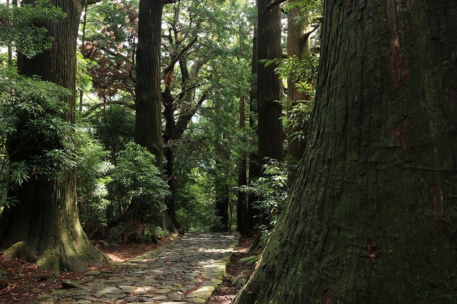 熊野古道 大門坂散策(その2)(撮影:6月22日)_e0321325_15183198.jpg