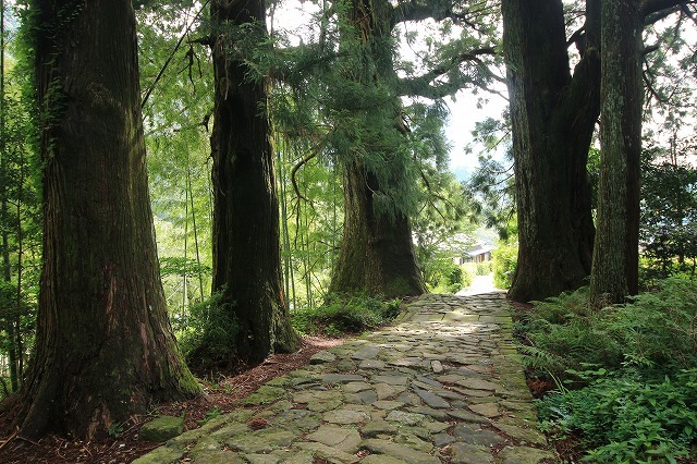 熊野古道 大門坂散策(その2)(撮影:6月22日)_e0321325_15201979.jpg