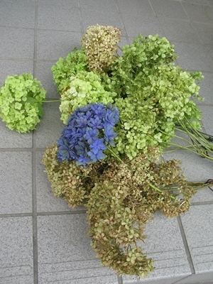 f0129726_21475071.jpg