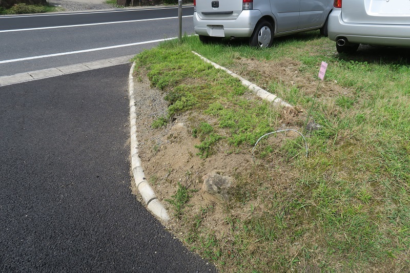 レーダークルーズの実態を紐解く_f0076731_15391528.jpg