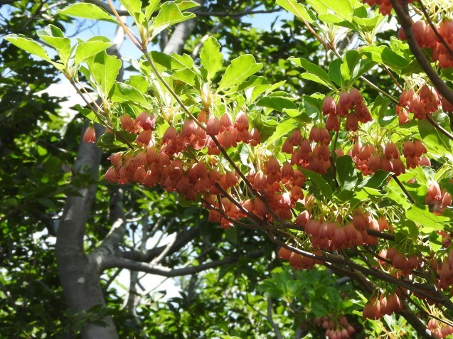 f0118332_00013921.jpg