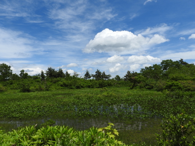 f0118332_00015334.jpg