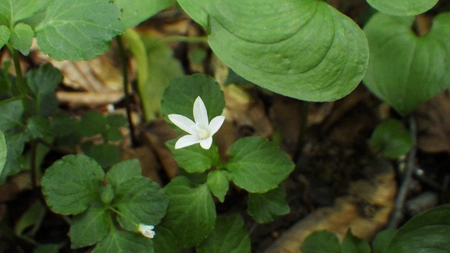 f0118332_00030524.jpg