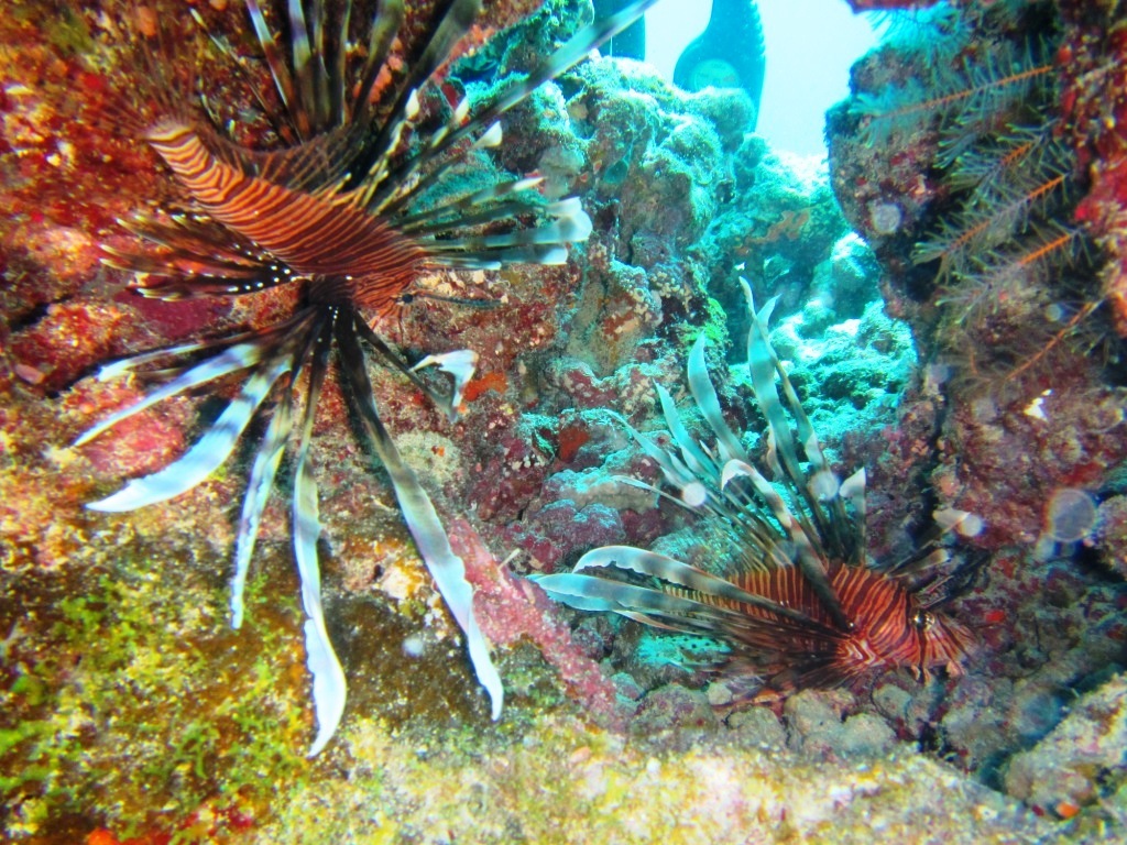a0189838_05261759.jpg