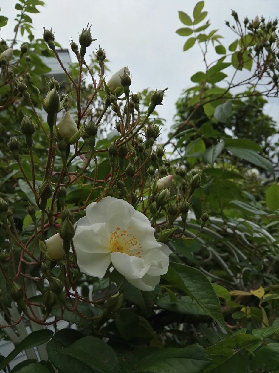 c0234938_15204944.jpg