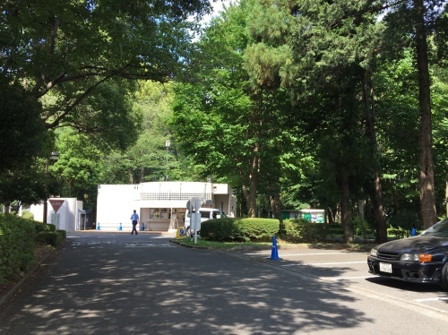 b0330040_11294476.jpeg