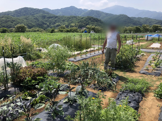 僕は豚だ！ その5（再開！）_b0136045_22291753.jpg