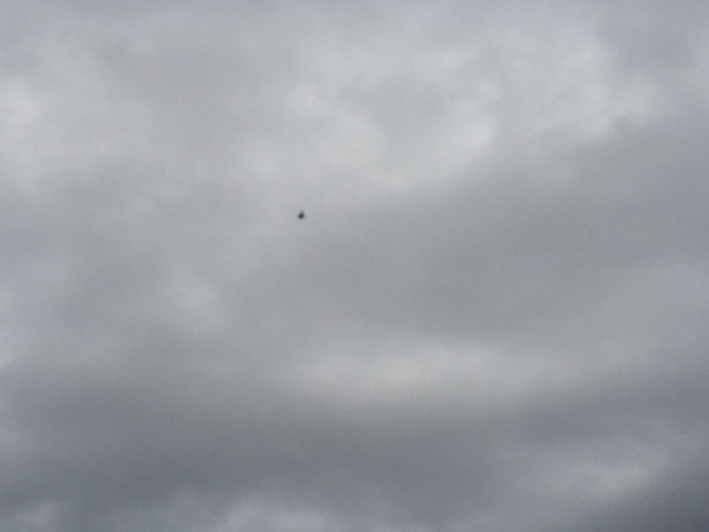 エアショー(航空祭)_b0135948_10074833.jpg