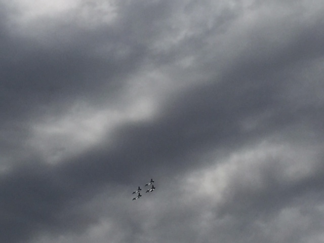 エアショー(航空祭)_b0135948_10311135.jpg