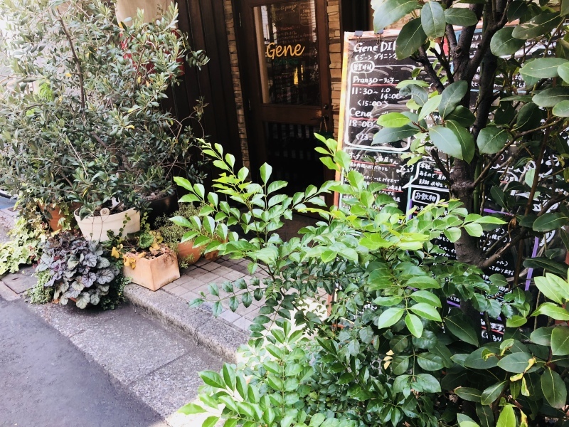 いなくなった…、スズメの雛。&7月2日(月)のランチメニュー_d0243849_15593136.jpeg